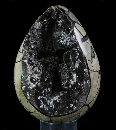 Septarian Dragon Egg Geode - Black Crystals #88337